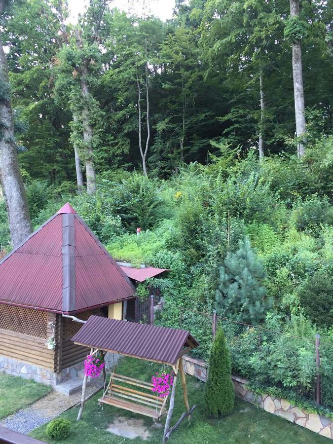 U Lyudmily Villa Karpaty Bagian luar foto