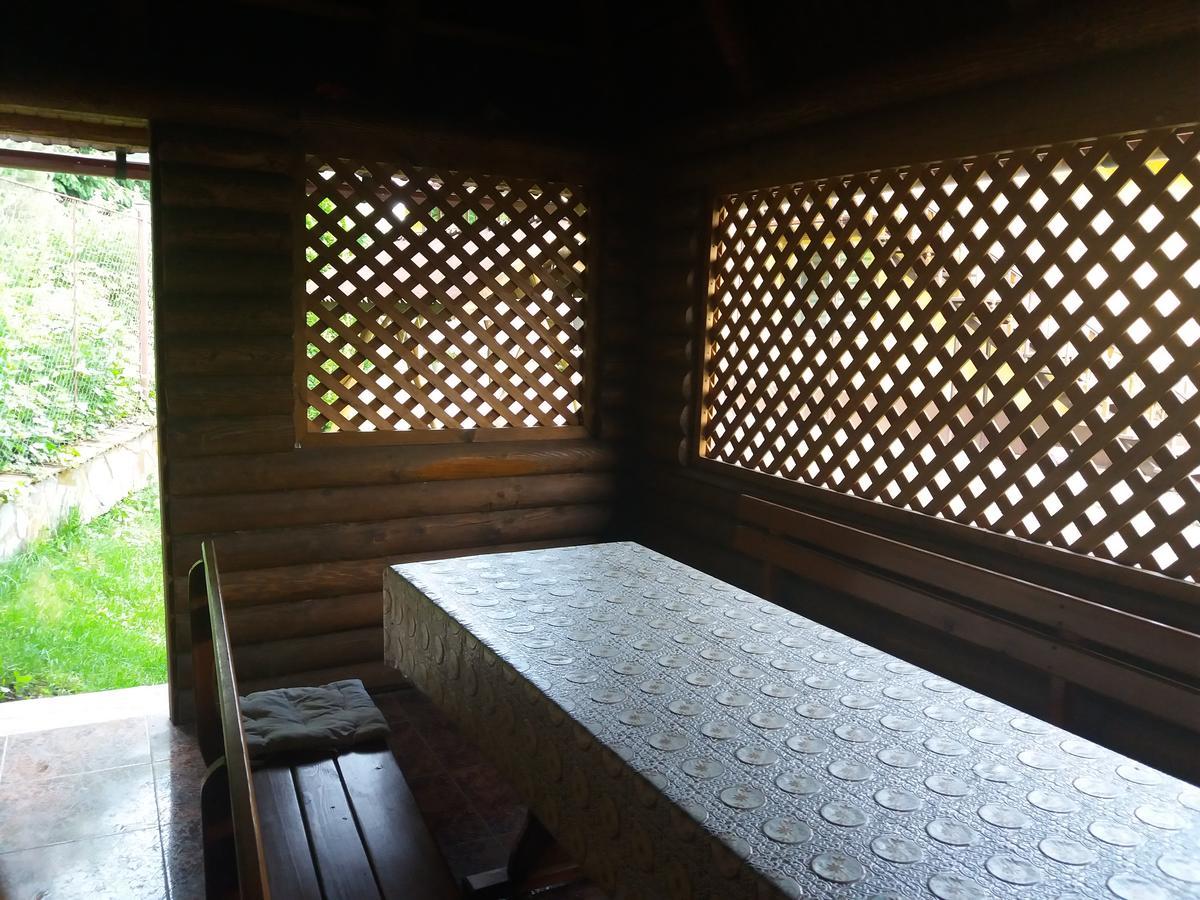 U Lyudmily Villa Karpaty Bagian luar foto