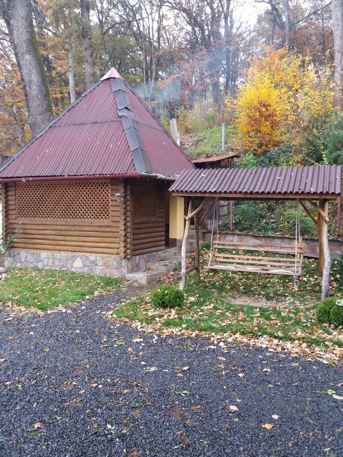 U Lyudmily Villa Karpaty Bagian luar foto