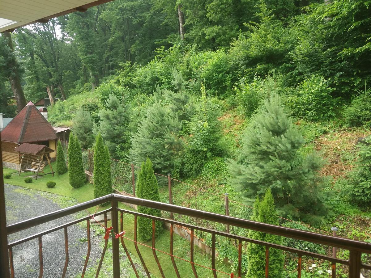 U Lyudmily Villa Karpaty Bagian luar foto