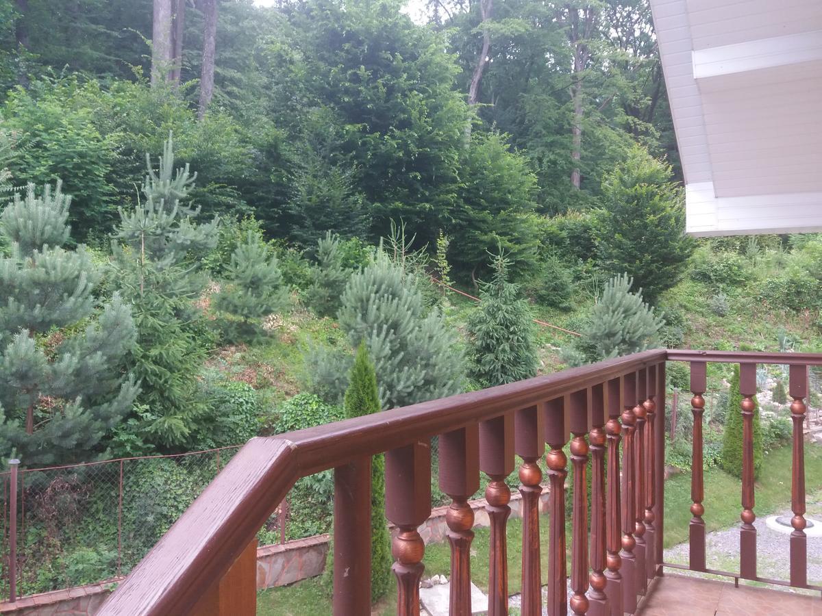 U Lyudmily Villa Karpaty Bagian luar foto