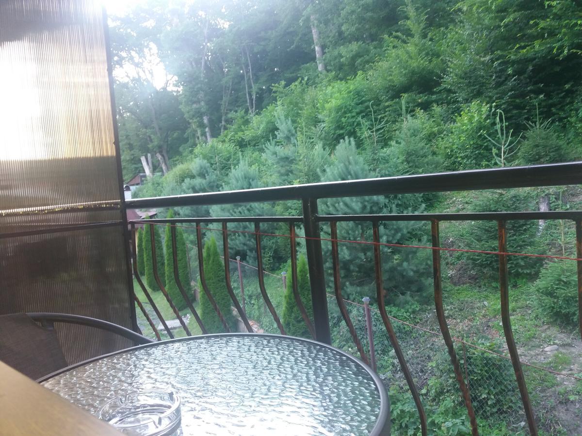 U Lyudmily Villa Karpaty Bagian luar foto
